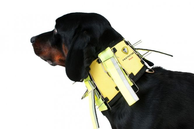Hovedbilde DOGTECH PROTECTOR NECK