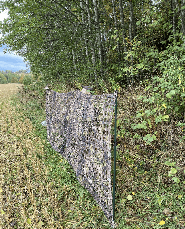 BRUNST DELUXE KAMONETT