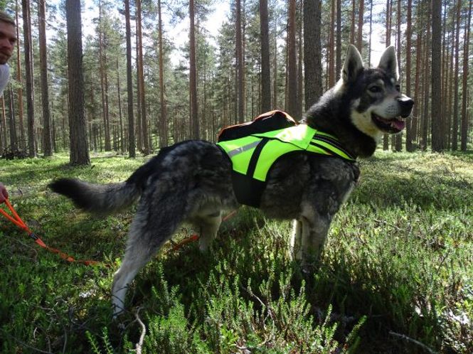Hovedbilde KARDOG JEHU GPS ...
