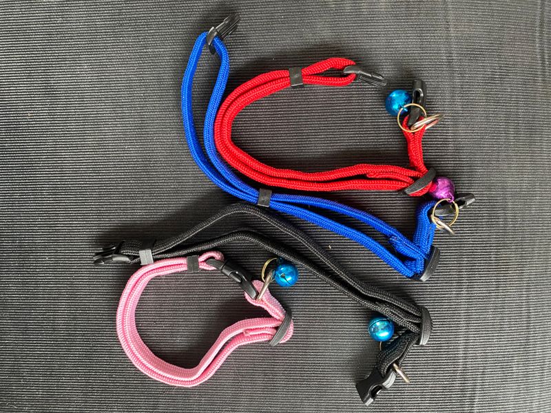 4 pakk valp- kattehalsbånd med bjelle